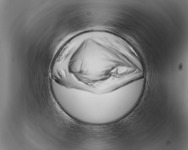 X0000116161428200912141211
