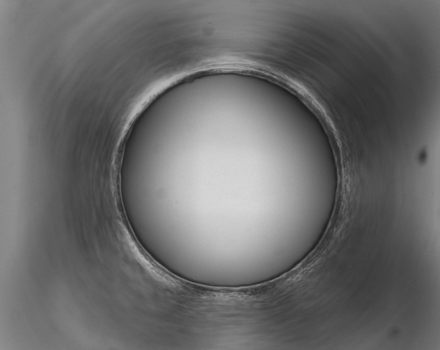 X0000116161429200912141211