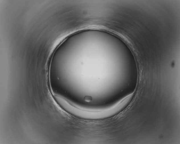 X0000116161430200912141211