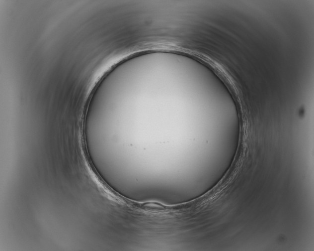 X0000116161432200912141211