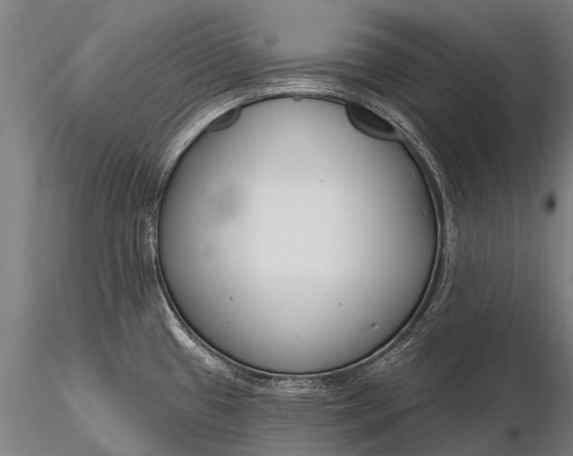 X0000116161433200912141211