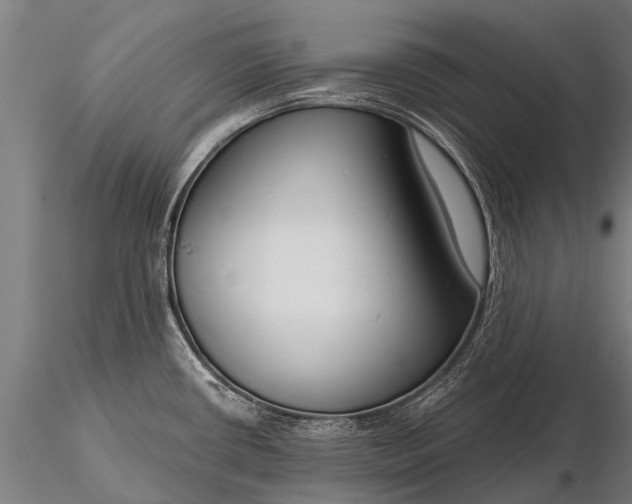 X0000116161434200912141211