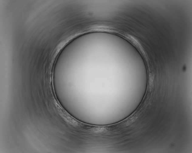 X0000116161435200912141211