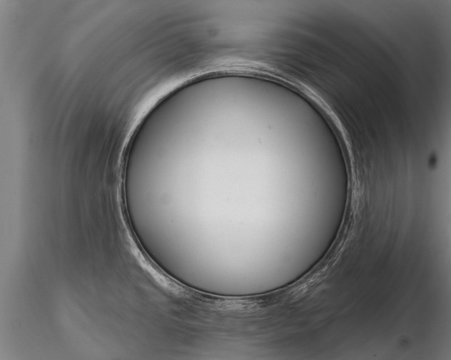 X0000116161437200912141211