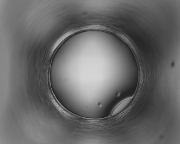X0000116161438200912141211