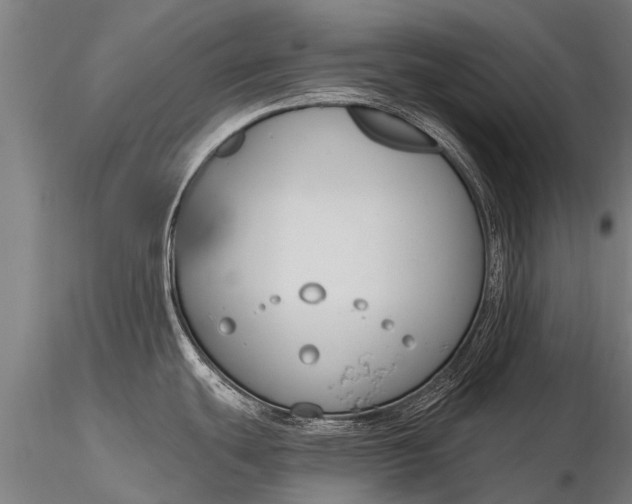 X0000116161439200912141211