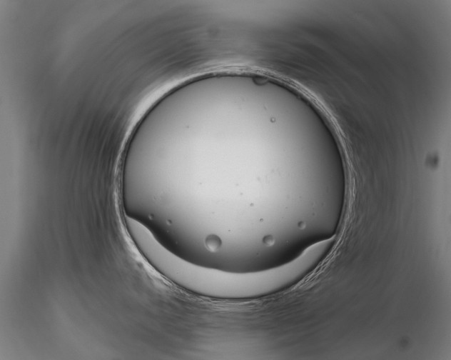 X0000116161440200912141211