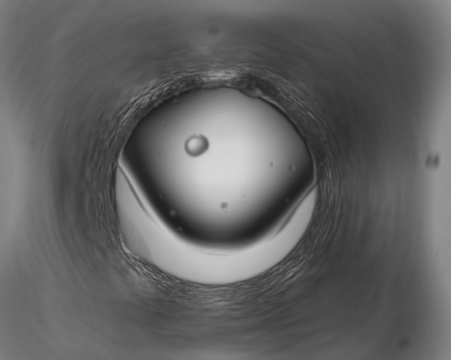 X0000116161441200912141210