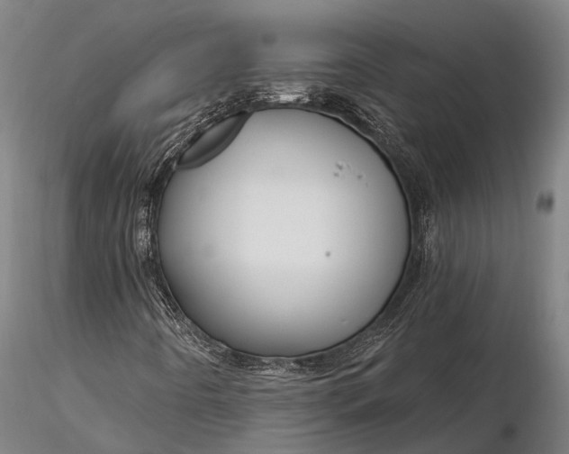 X0000116161442200912141210