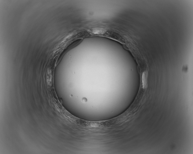 X0000116161443200912141210