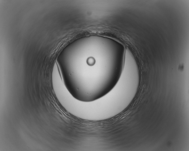 X0000116161444200912141210