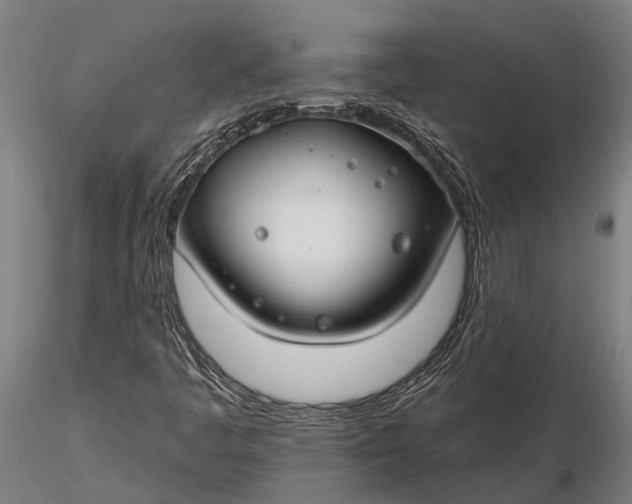X0000116161445200912141210