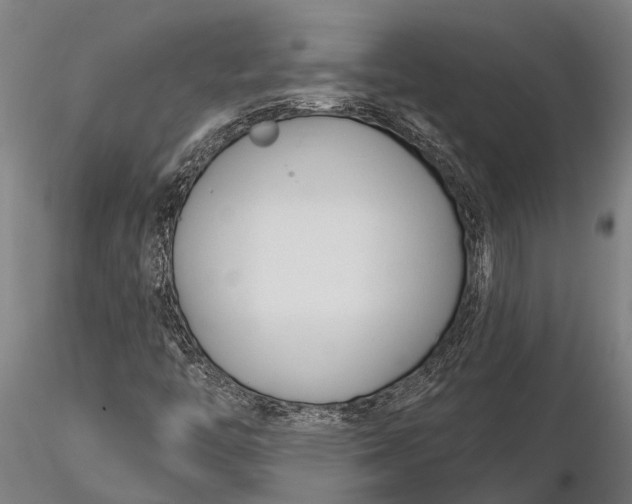 X0000116161446200912141210