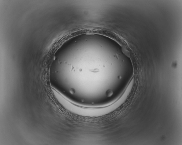 X0000116161447200912141210