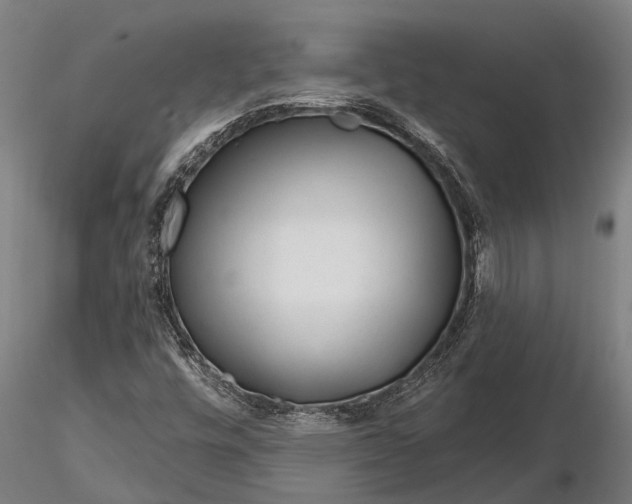 X0000116161448200912141210