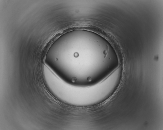 X0000116161449200912141210
