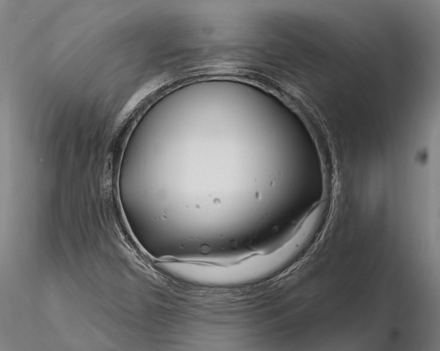 X0000116161450200912141210