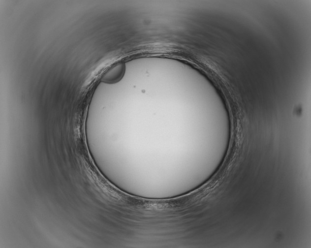 X0000116161451200912141210