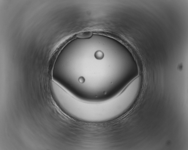 X0000116161452200912141210