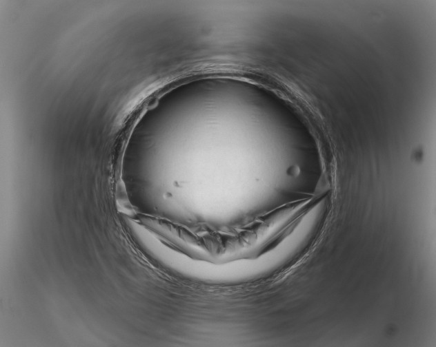 X0000116161453200912141210