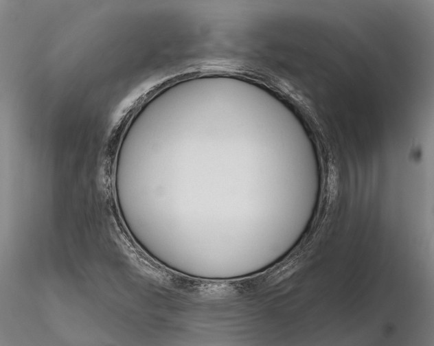 X0000116161454200912141210