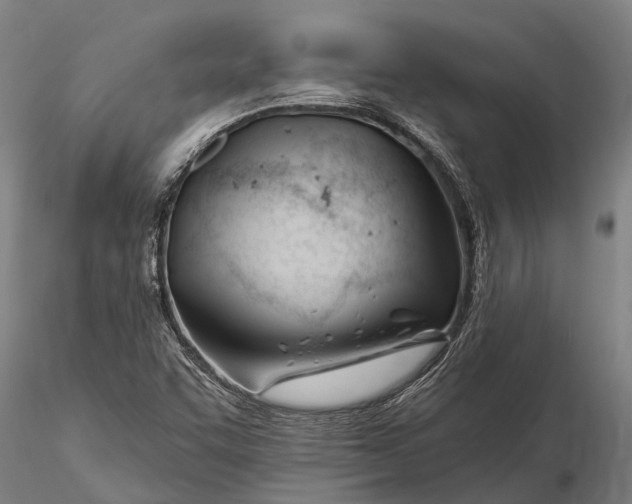 X0000116161455200912141210