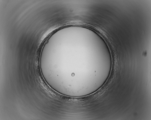 X0000116161458200912141210