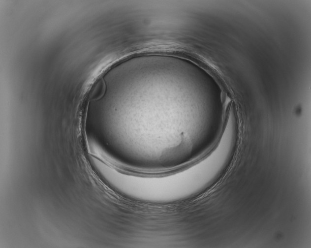 X0000116161459200912141210
