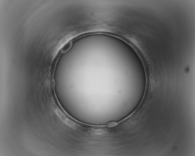 X0000116161460200912141210