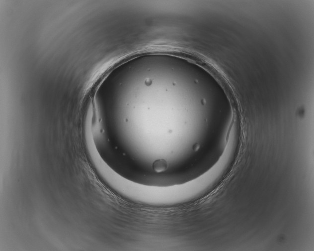 X0000116161461200912141210