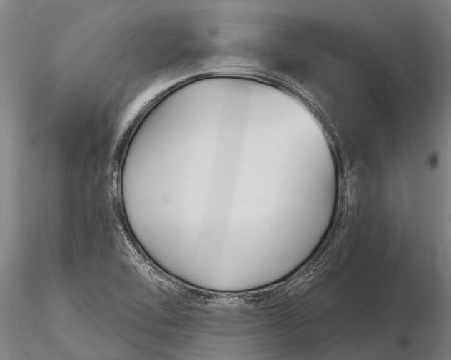 X0000116161462200912141210