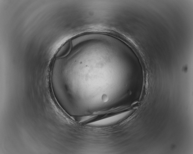 X0000116161463200912141210