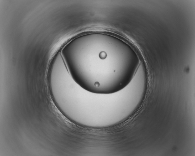 X0000116161464200912141210