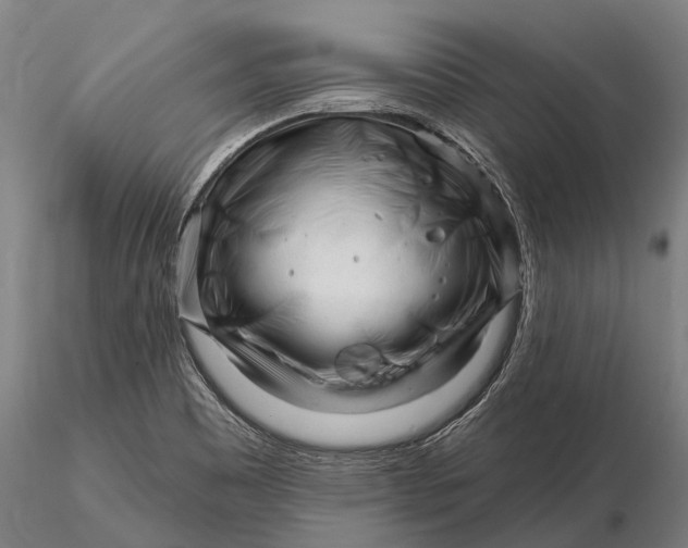 X0000116161465200912141210