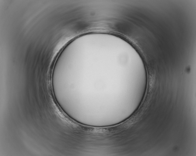 X0000116161466200912141210
