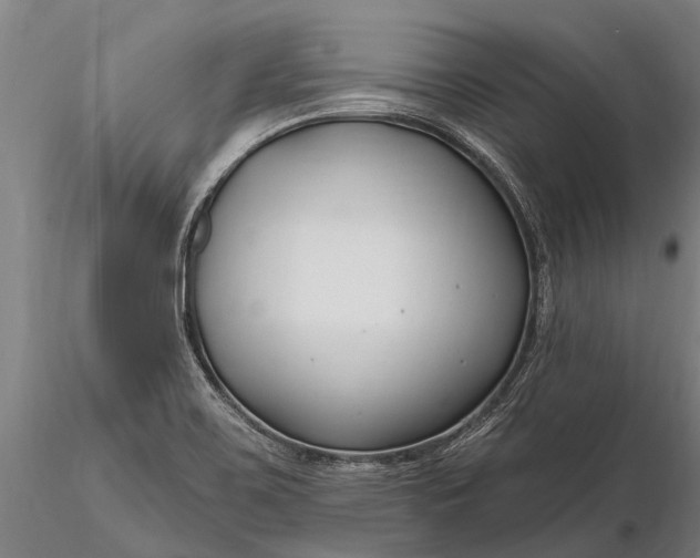 X0000116161467200912141210