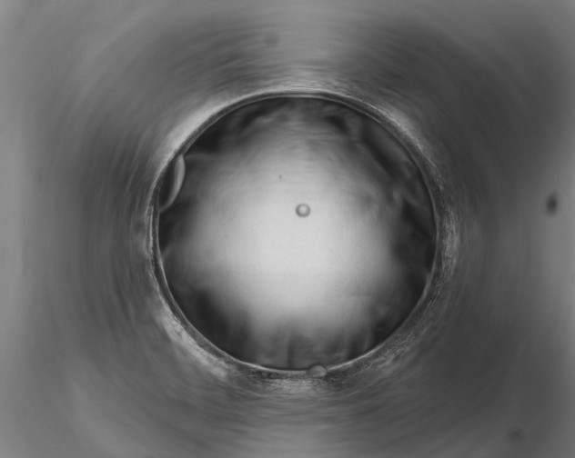 X0000116161468200912141210