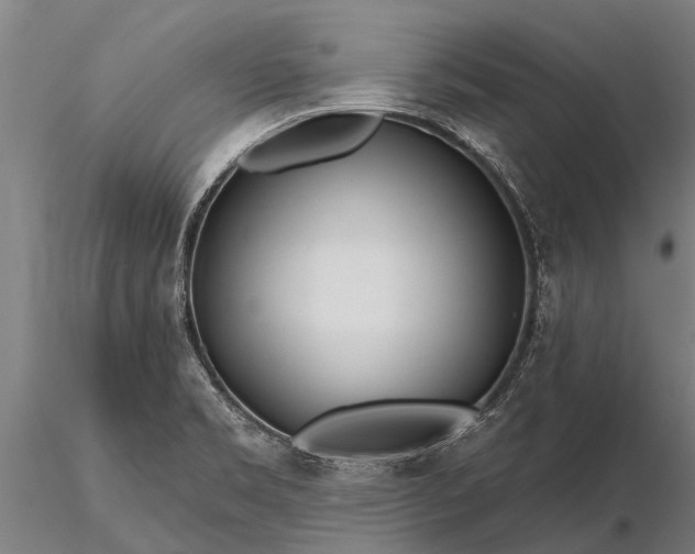 X0000116161469200912141210