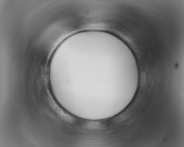 X0000116161470200912141210