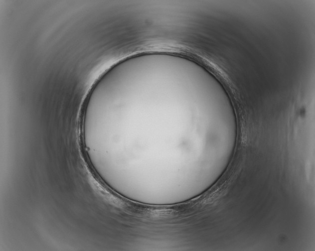 X0000116161471200912141210