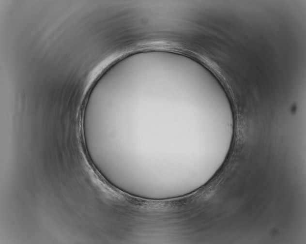 X0000116161474200912141210