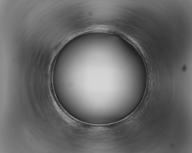 X0000116161475200912141210