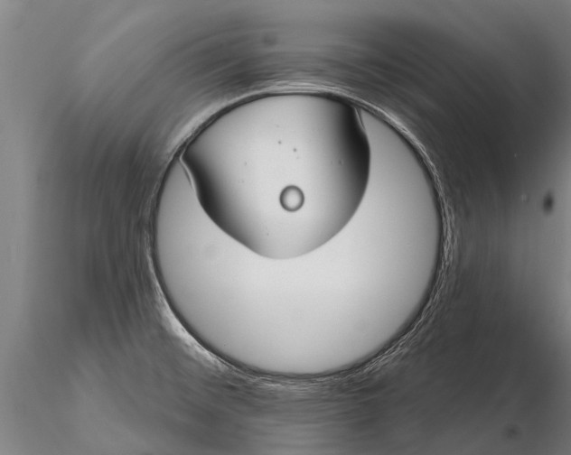X0000116161476200912141210