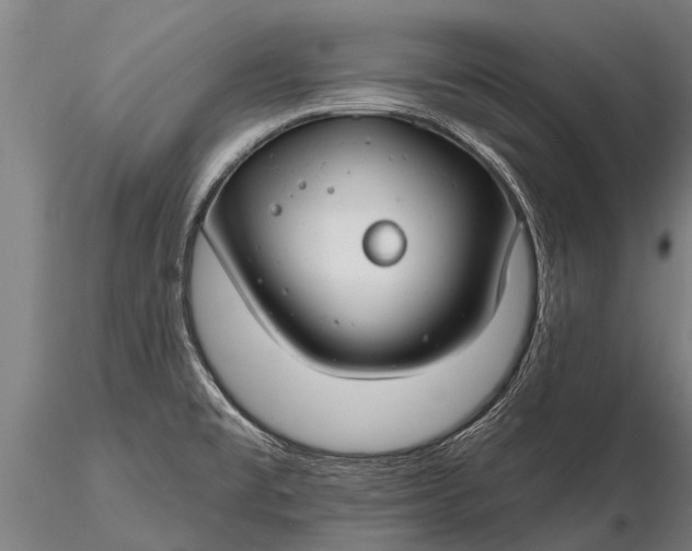 X0000116161477200912141210
