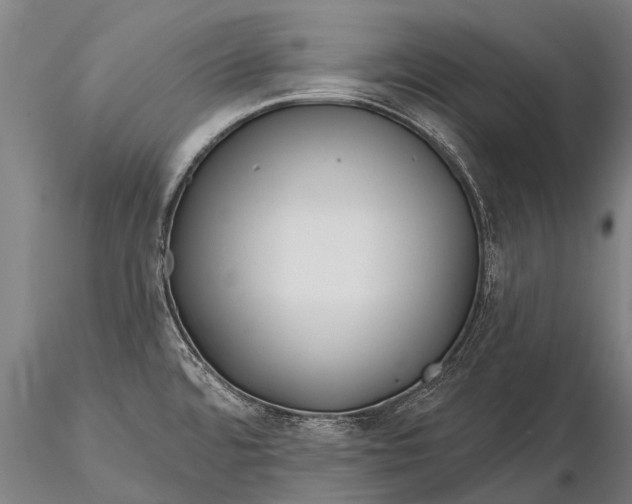 X0000116161480200912141209