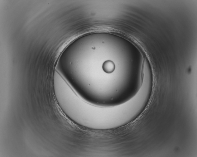 X0000116161481200912141209