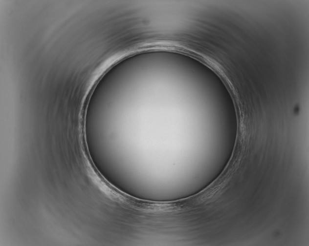 X0000116161482200912141209