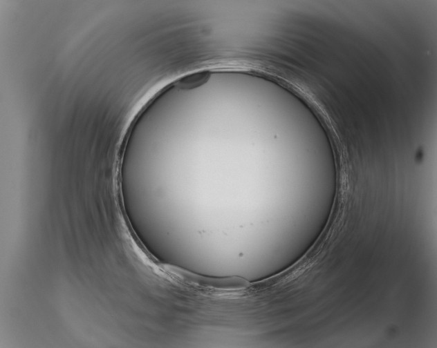 X0000116161484200912141209