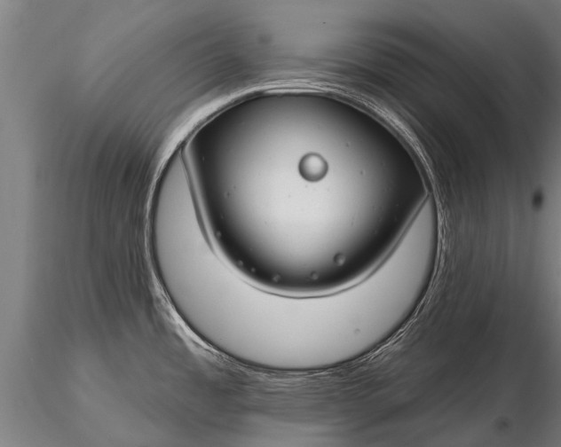X0000116161485200912141209