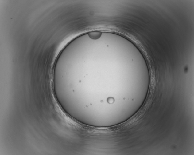 X0000116161486200912141209